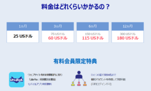 リトルフォックス使用料金